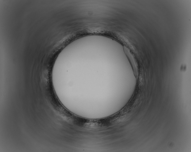 X0000090900211200708270951