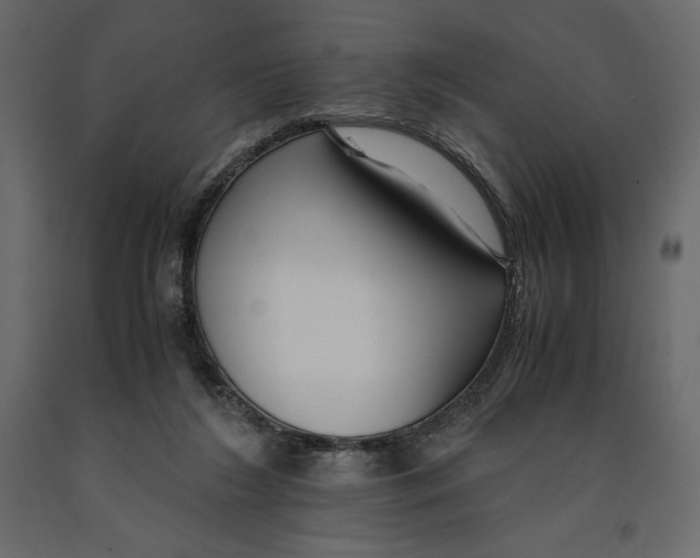 X0000090900212200708270951