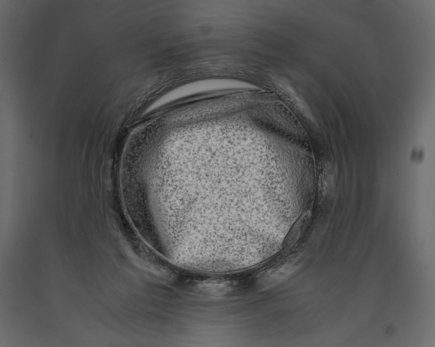 X0000090900213200708270951