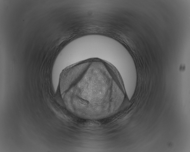 X0000090900215200708270951