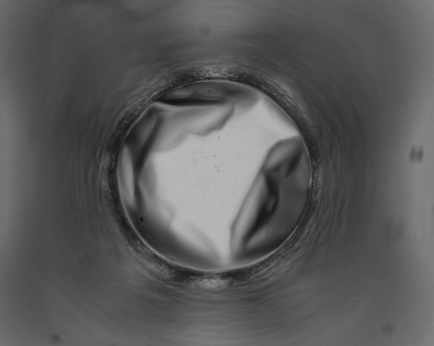 X0000090900217200708270951