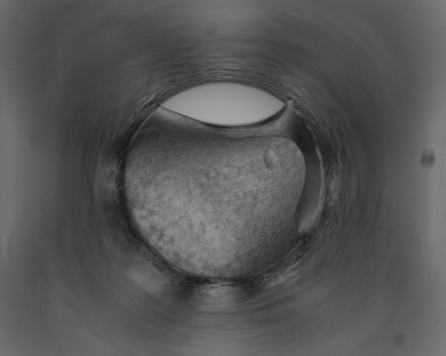 X0000090900219200708270951