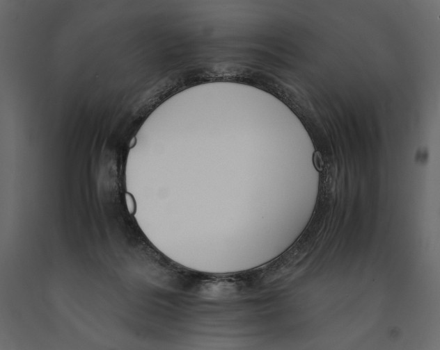 X0000090900220200708270951