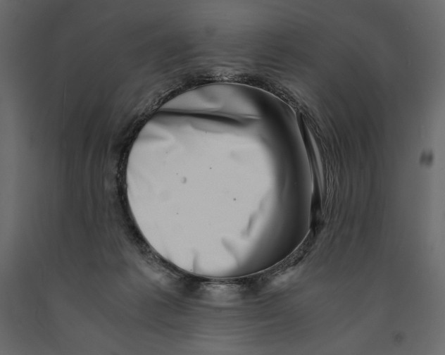X0000090900221200708270951