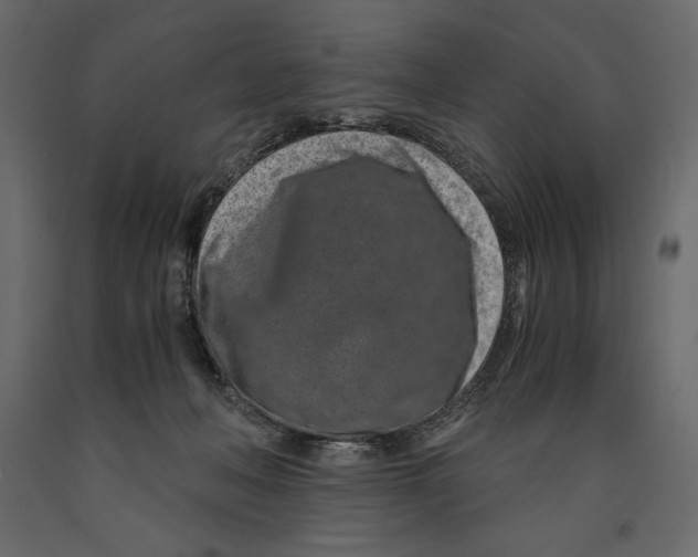 X0000090900222200708270951