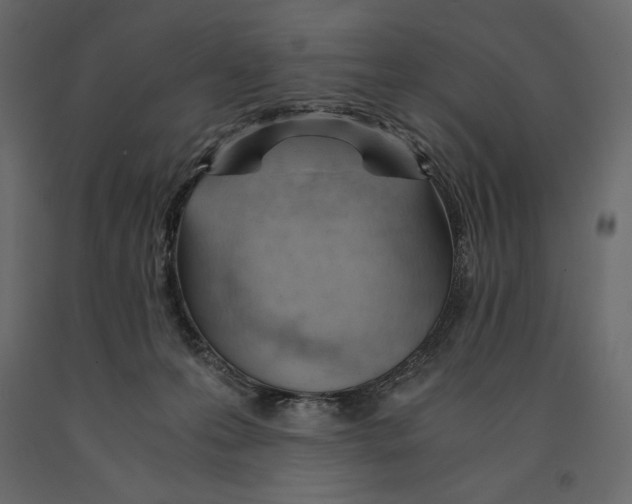 X0000090900223200708270951
