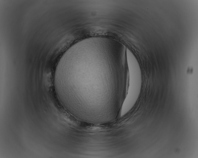 X0000090900224200708270951