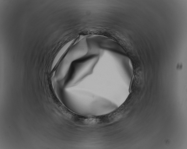 X0000090900225200708270951