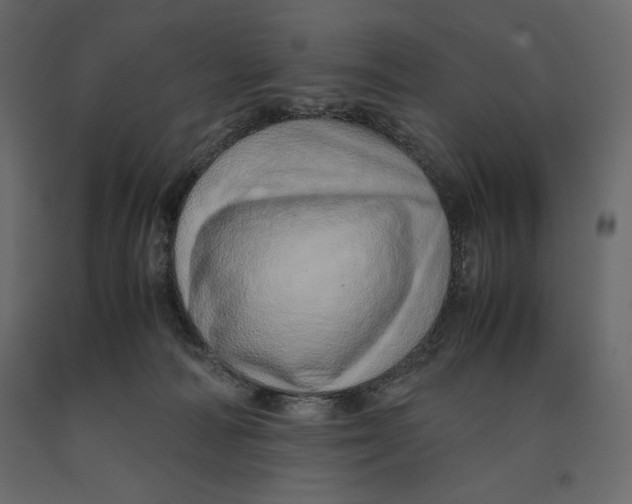 X0000090900226200708270951
