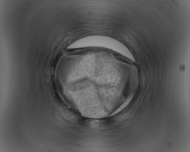 X0000090900229200708270951