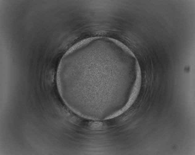 X0000090900230200708270951