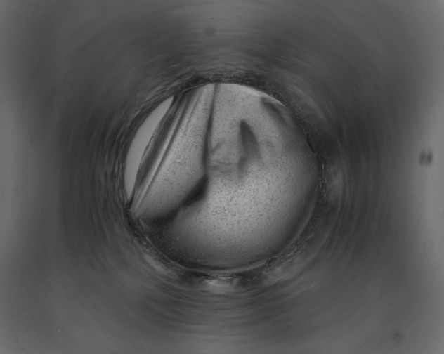X0000090900232200708270951