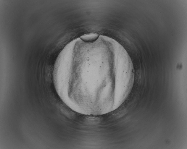 X0000090900234200708270951