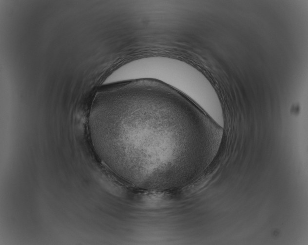 X0000090900235200708270951