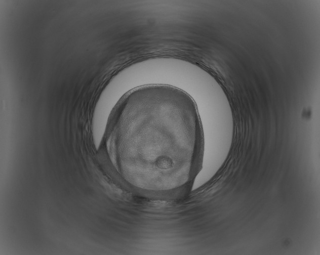 X0000090900237200708270951