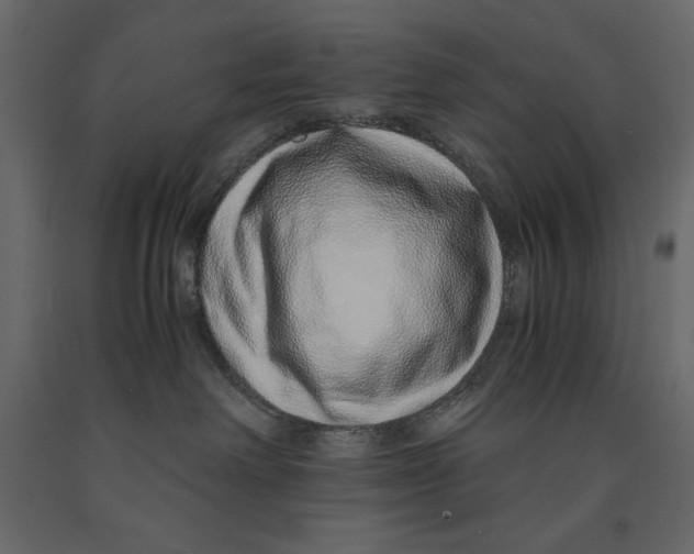 X0000090900238200708270951