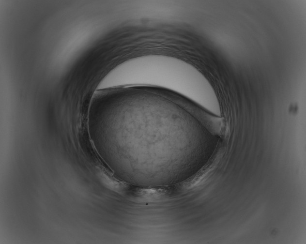 X0000090900239200708270951