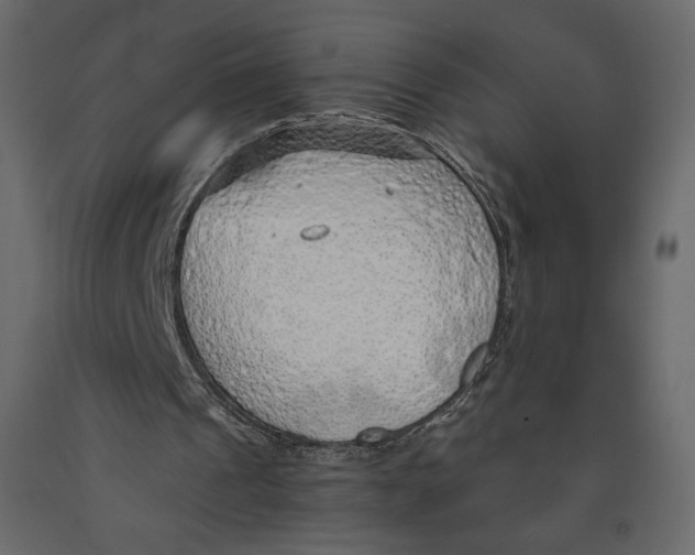 X0000090900241200708270950