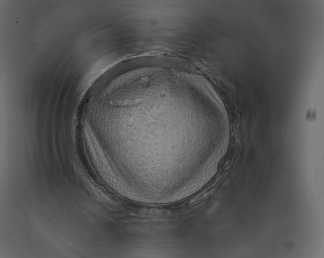 X0000090900242200708270950