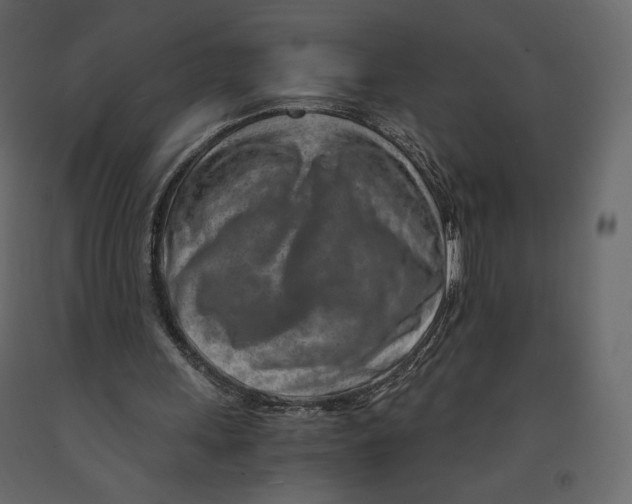 X0000090900243200708270950