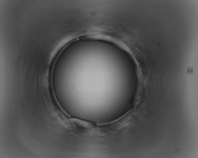 X0000090900244200708270950