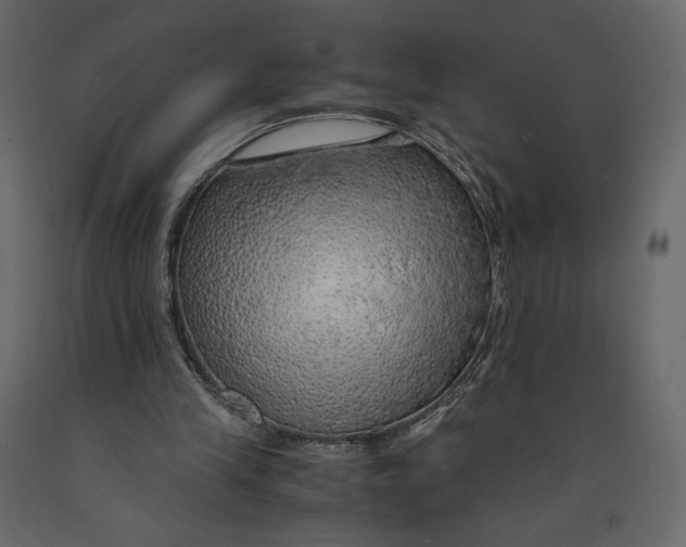 X0000090900245200708270950
