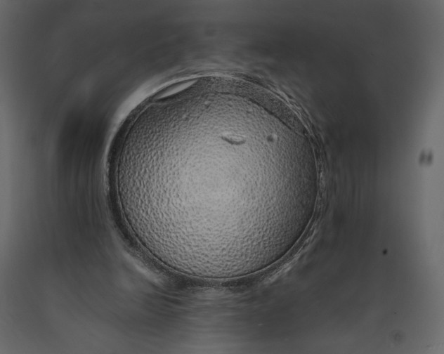 X0000090900246200708270950