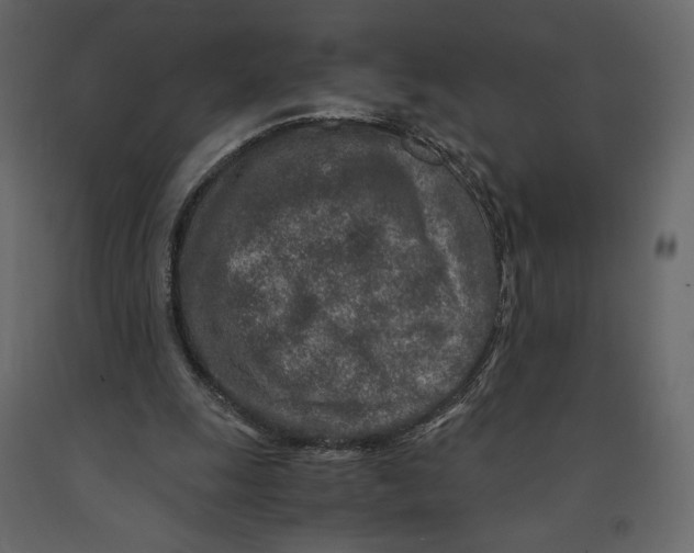 X0000090900247200708270950