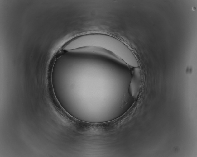 X0000090900248200708270950