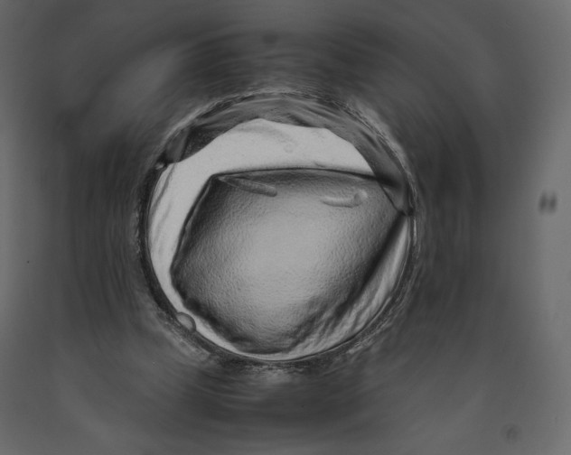 X0000090900249200708270950