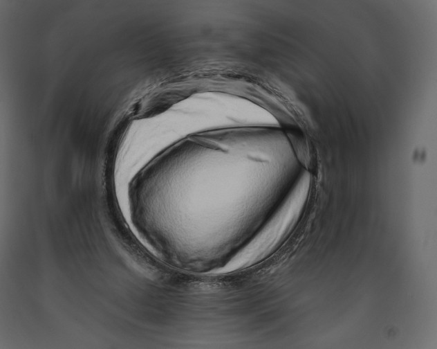 X0000090900250200708270950