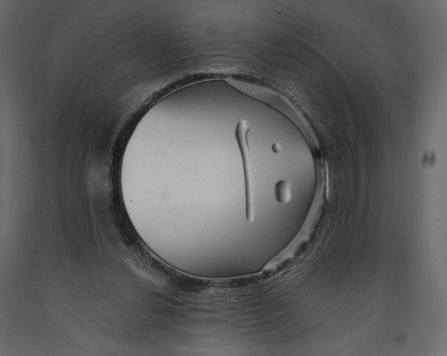X0000090900252200708270950