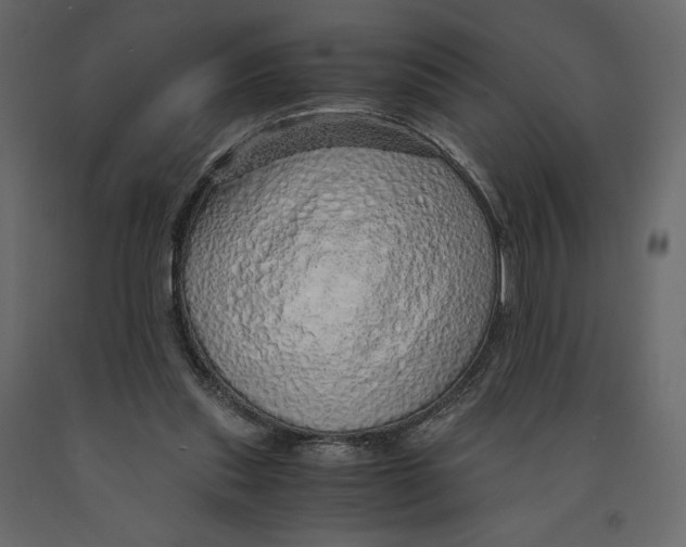 X0000090900253200708270950