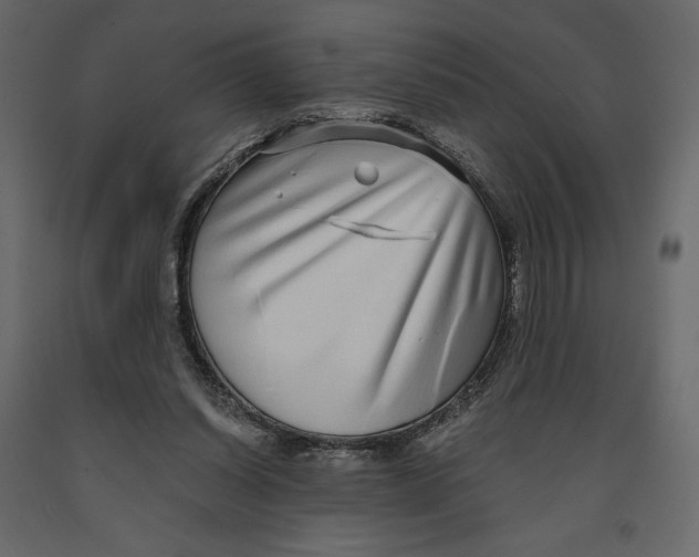 X0000090900254200708270950