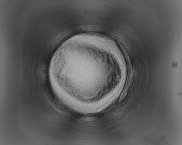X0000090900255200708270950