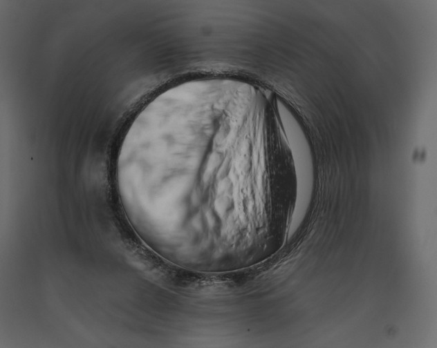X0000090900256200708270950