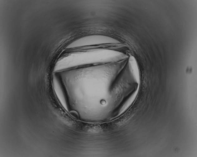 X0000090900258200708270950