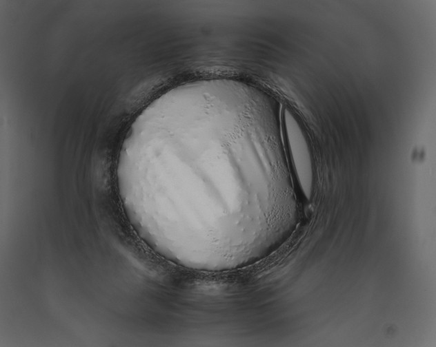 X0000090900259200708270950
