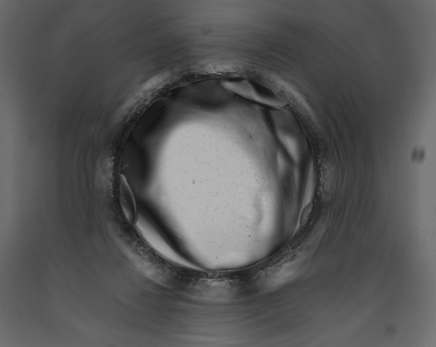 X0000090900260200708270950
