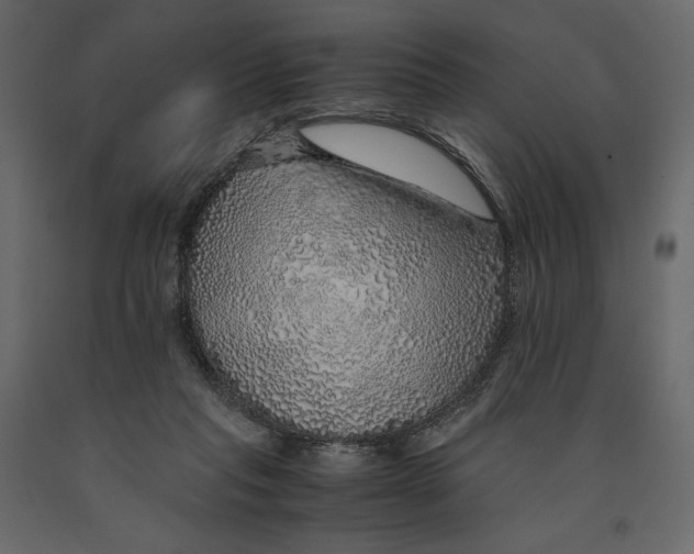 X0000090900261200708270950