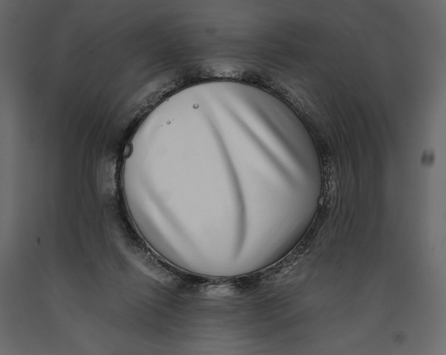 X0000090900262200708270950