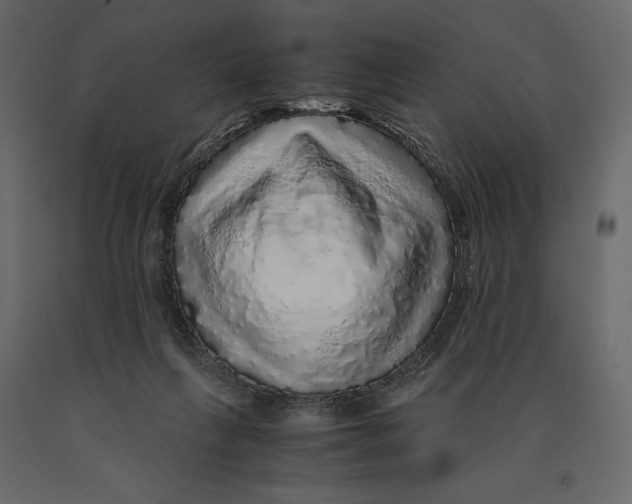 X0000090900263200708270950