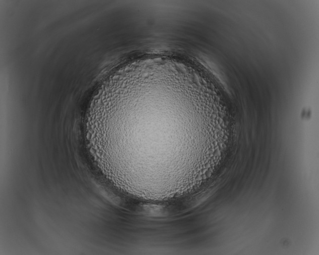 X0000090900265200708270950