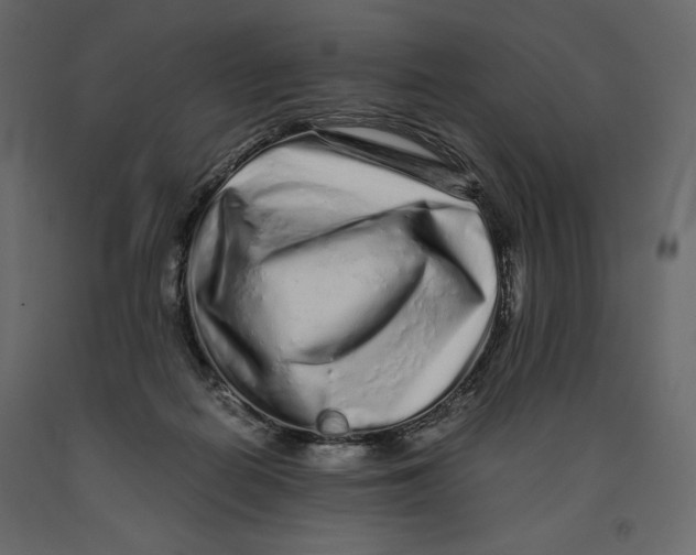 X0000090900266200708270950