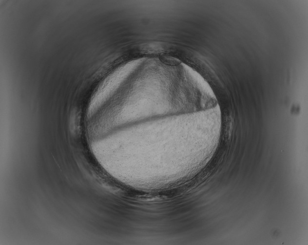 X0000090900267200708270950