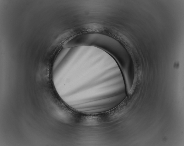 X0000090900268200708270950
