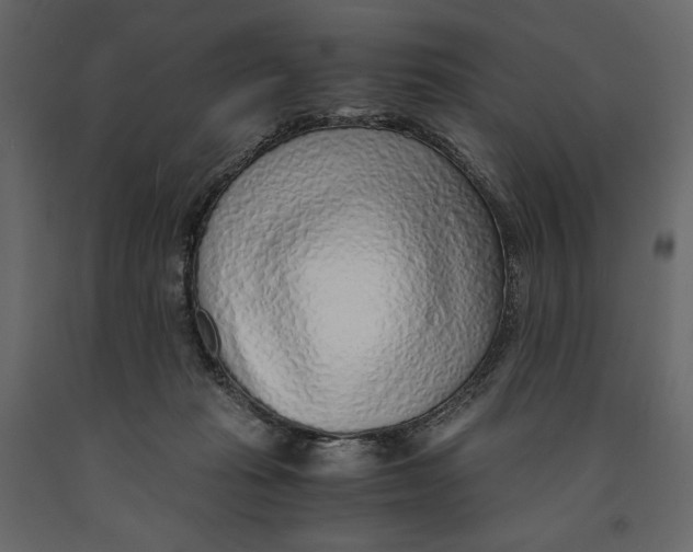 X0000090900269200708270950