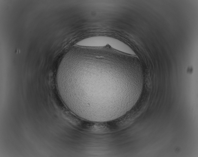 X0000090900270200708270950