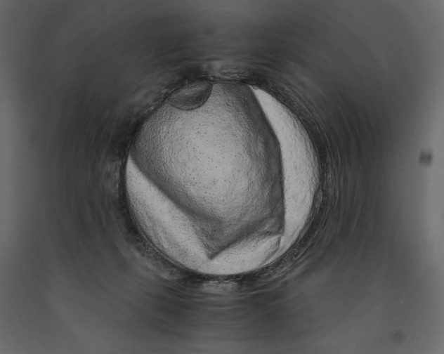 X0000090900271200708270950