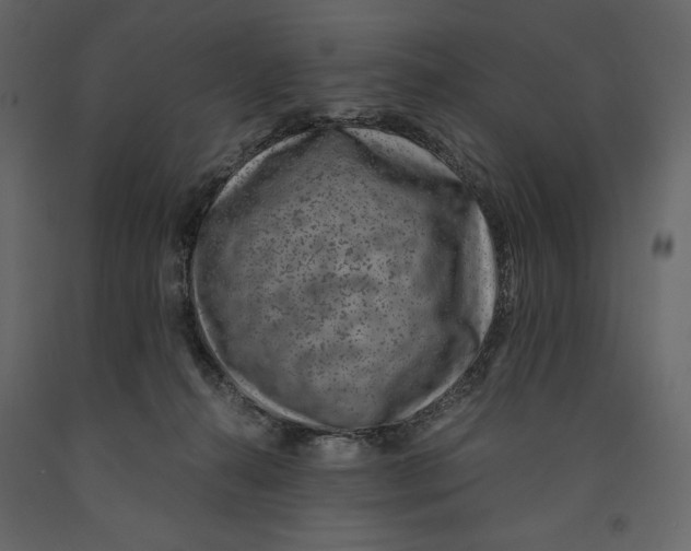 X0000090900272200708270950